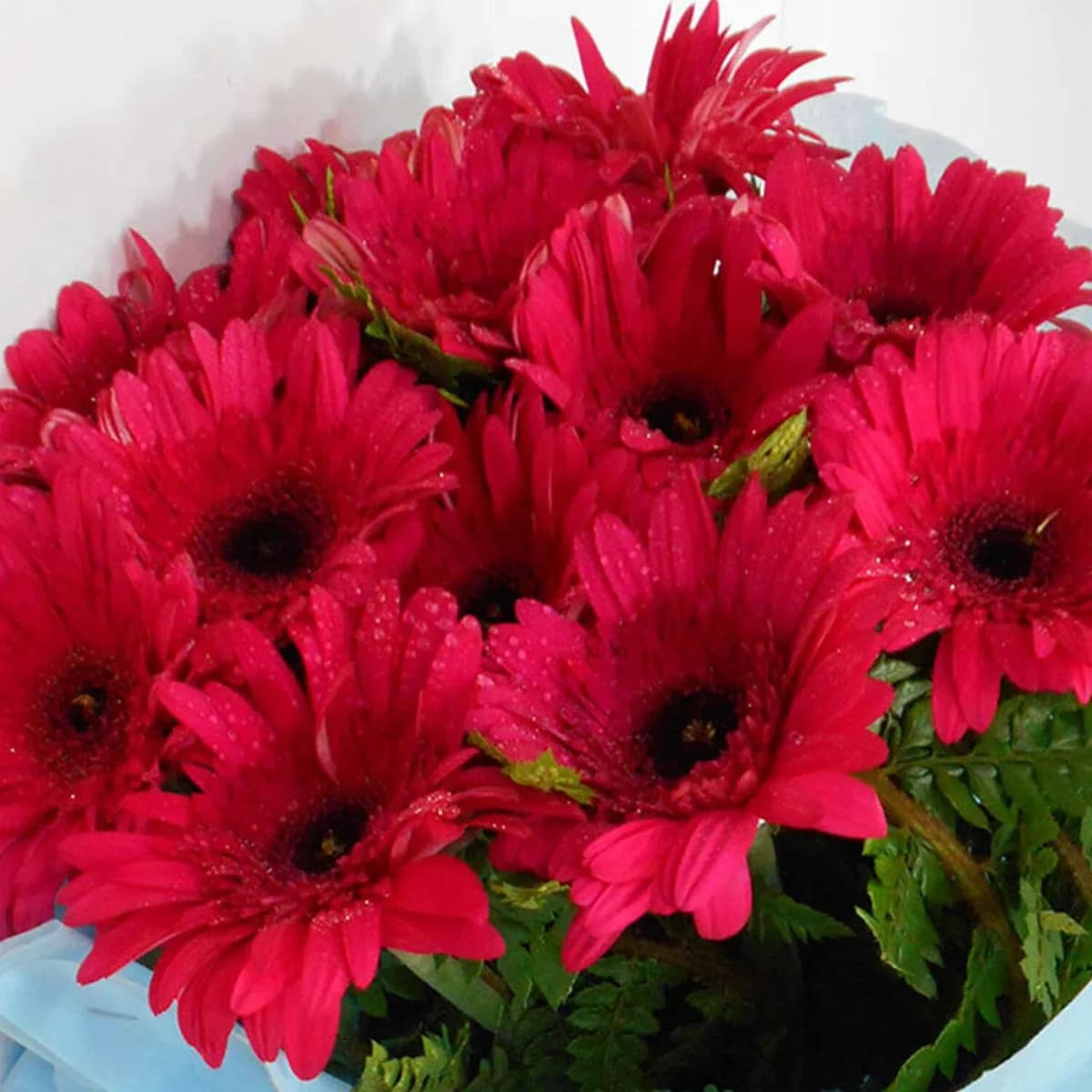 Charming Red Gerbera Flower Bouquet
