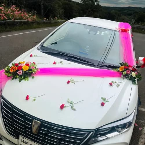 Elegant Wedding Car Flower Decoration