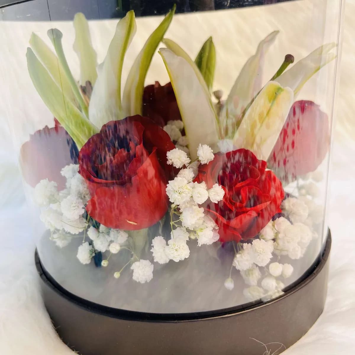 Red Rose & White Lily Arrangement in Transparent Black Round Gift Box